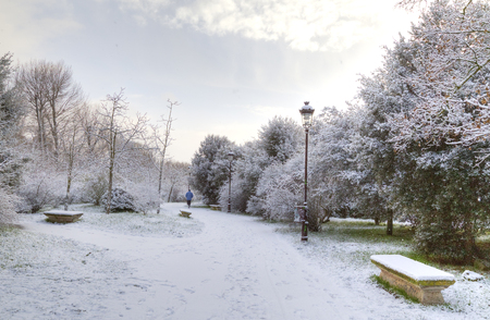 benches and street lights in winter park filled with snowの写真素材