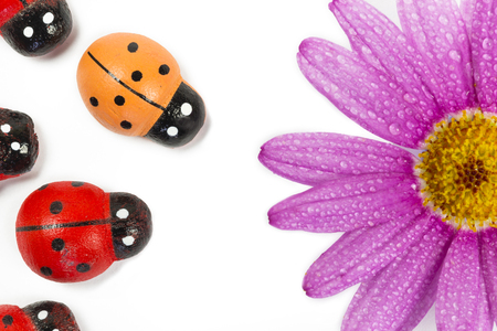 Wooden ladybirds with purple flower on white backgroundの写真素材