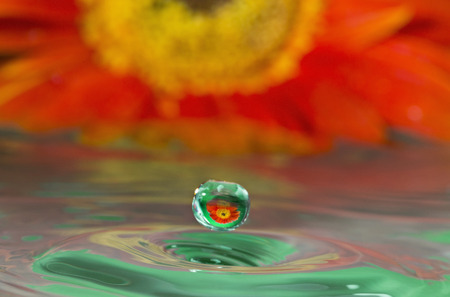 Water splash with reflection in drops orange flowerの写真素材