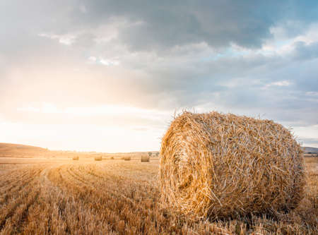 straw bales at dawn, with a cloudy skyの写真素材