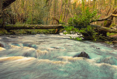 A cascade of a stream among rocks, stones and trees