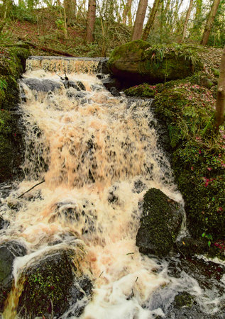 A small waterfall among rocks, stones and treesの写真素材