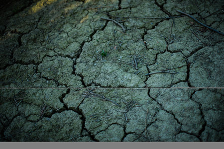 Cracked earth texture.の写真素材