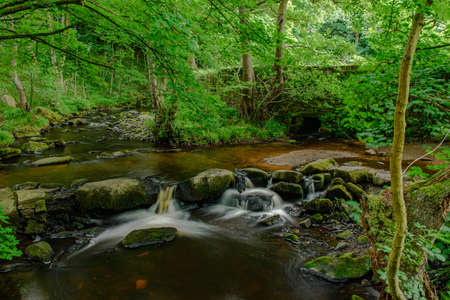 Waterfall and cascade. Stream in the forest. Long exposure.