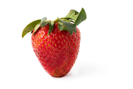 strawberry isolated on whiteの写真素材