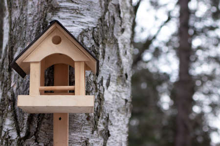 bird house in the treeの写真素材