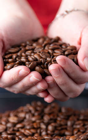 coffee beans in handsの写真素材