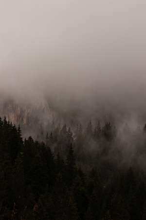 fog in the mountainsの写真素材