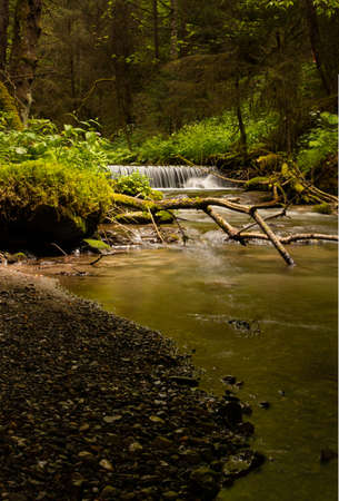 waterfall in the forestの写真素材