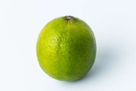 lime on white backgroundの写真素材