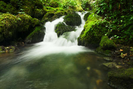 waterfall in the forest. Vadu Crisului, Bihor, Romaniaの写真素材