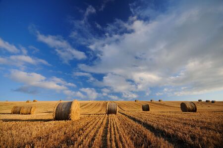 hay circle