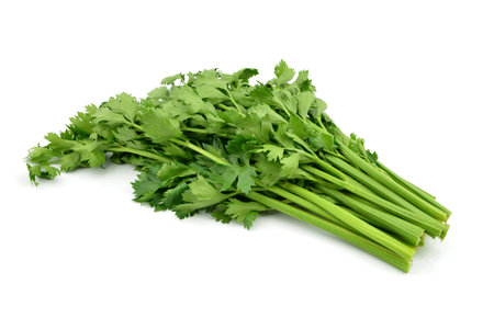 celeryの写真素材