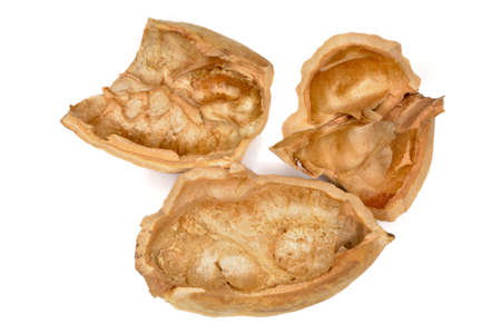 walnut shells