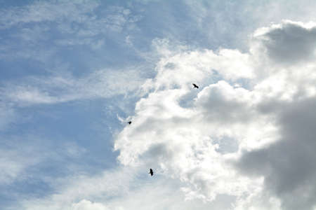 clouds in the skyの写真素材