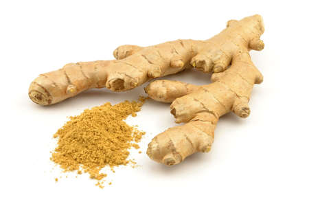 ginger on a white backgroundの写真素材