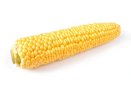 corn isolate on white backgroundの写真素材