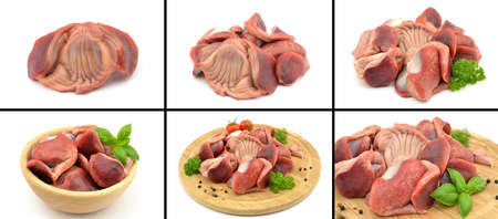 turkey stomachs on a white background