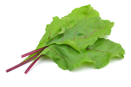 beetle leaves