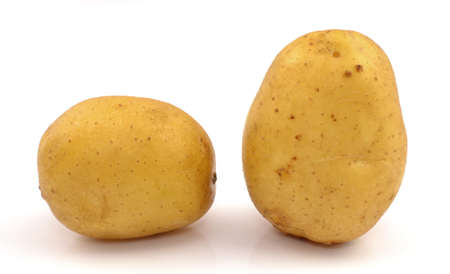 potatoes on a white backgroundの写真素材