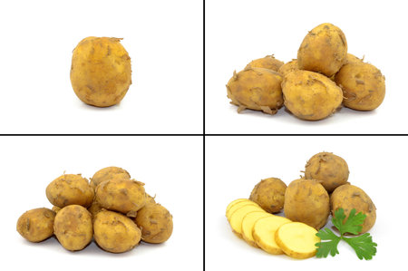 potatoes on a white backgroundの写真素材