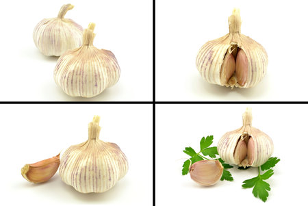 Garlicの写真素材