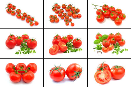 tomatoesの写真素材