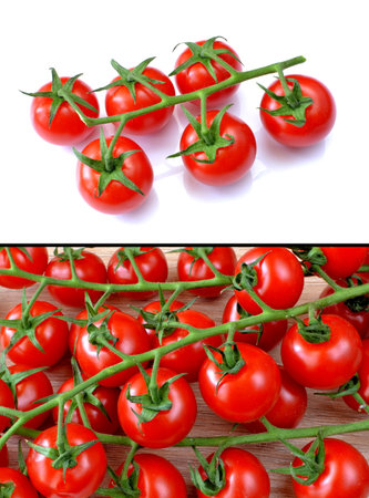 tomatoesの写真素材