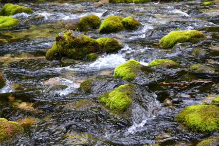 mountain stream in the Tatra Mountains, Polandの写真素材