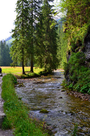 mountain stream in the Tatra Mountains, Polandの写真素材