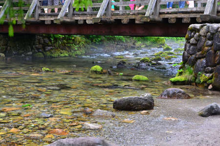 mountain stream in the Tatra Mountains, Polandの写真素材