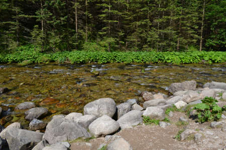 mountain stream in the Tatra Mountains, Polandの写真素材