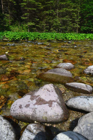 mountain stream in the Tatra Mountains, Polandの写真素材
