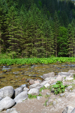 mountain stream in the Tatra Mountains, Polandの写真素材