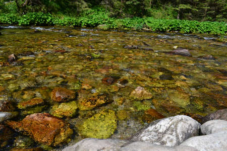 mountain stream in the Tatra Mountains, Polandの写真素材