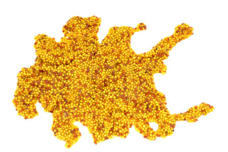 mustard with mustard seedsの写真素材