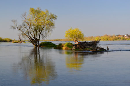Vistula river, Polandの写真素材