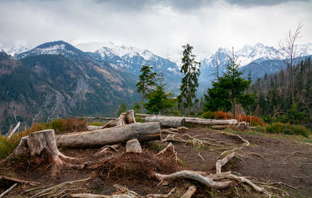 View of the Tatra Mountains from the trail to Rusinowa Polanaの写真素材