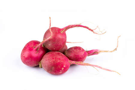 radish