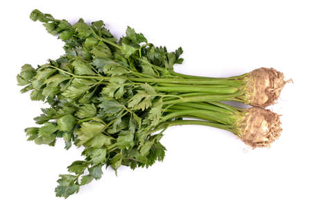 celery on a white background