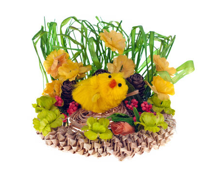  Easter chick isolated on a white .の写真素材