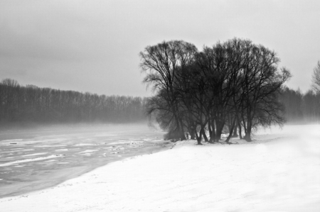 Winter snow landscape.の写真素材