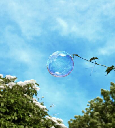 Soap bubbles floating over a blue background.