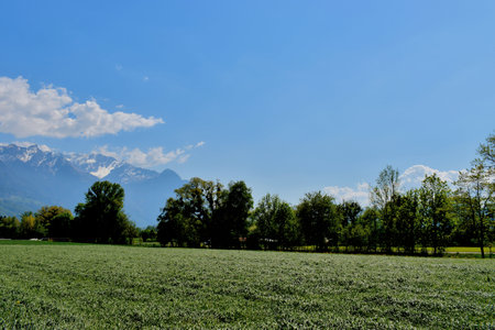 Landscape in Vaduz in Liechtensteinの写真素材