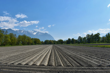 View over an acre in Vaduz in Liechtensteinの写真素材