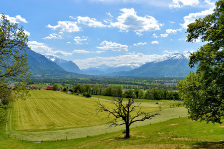 Landscape during spring time in Liechtenstein 24.4.2020の写真素材