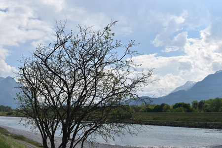 View over the rhine river at the border between Switzerland and Liechtenstein 27.4.2020の写真素材