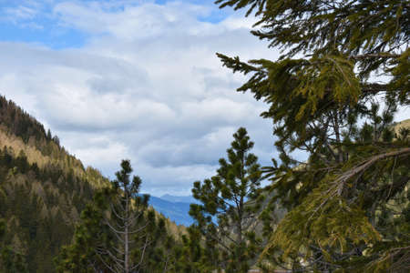 Beautiful alpine scenery in Malbun in Liechtenstein 4.5.2020の写真素材