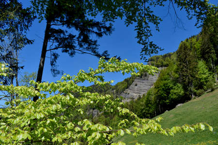 Beautiful day in the nature in Appenzell in Switzerland 7.5.2020の写真素材