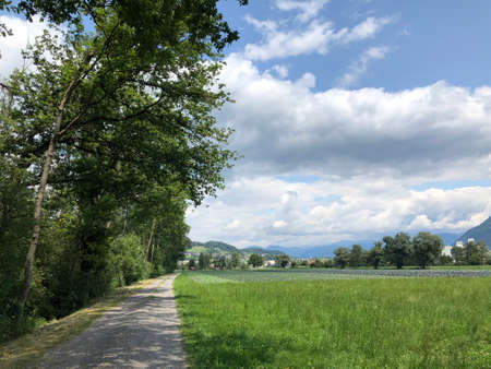 Natural scenery during a bike tour in Liechtenstein 13.7.2019の写真素材